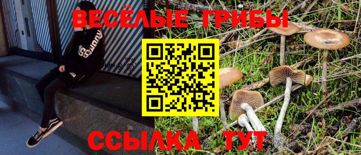 Псилоцибиновые грибы мицелий Краснокаменск